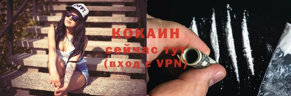 шишки Аксай