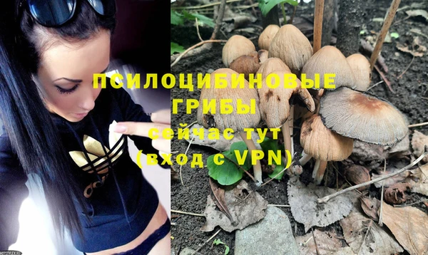 jwh Михайлов