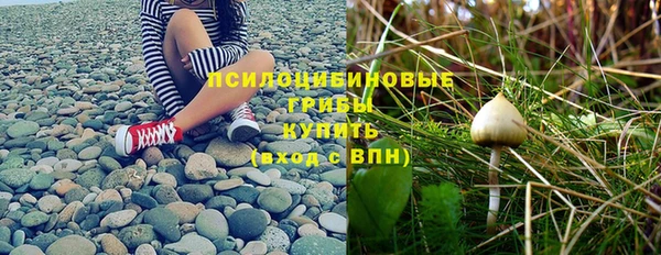 jwh Михайлов