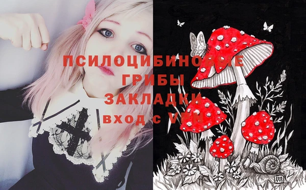 гидропоника Михайловск